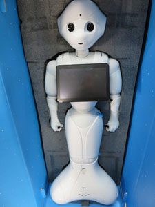 softbank ソフトバンク ペッパー Pepper デベロッパー先行モデル