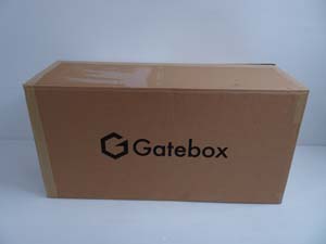Gatebox 逢妻ヒカリ GTBX-100JP 販売