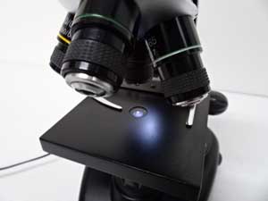 セレストロン デジタル顕微鏡 販売